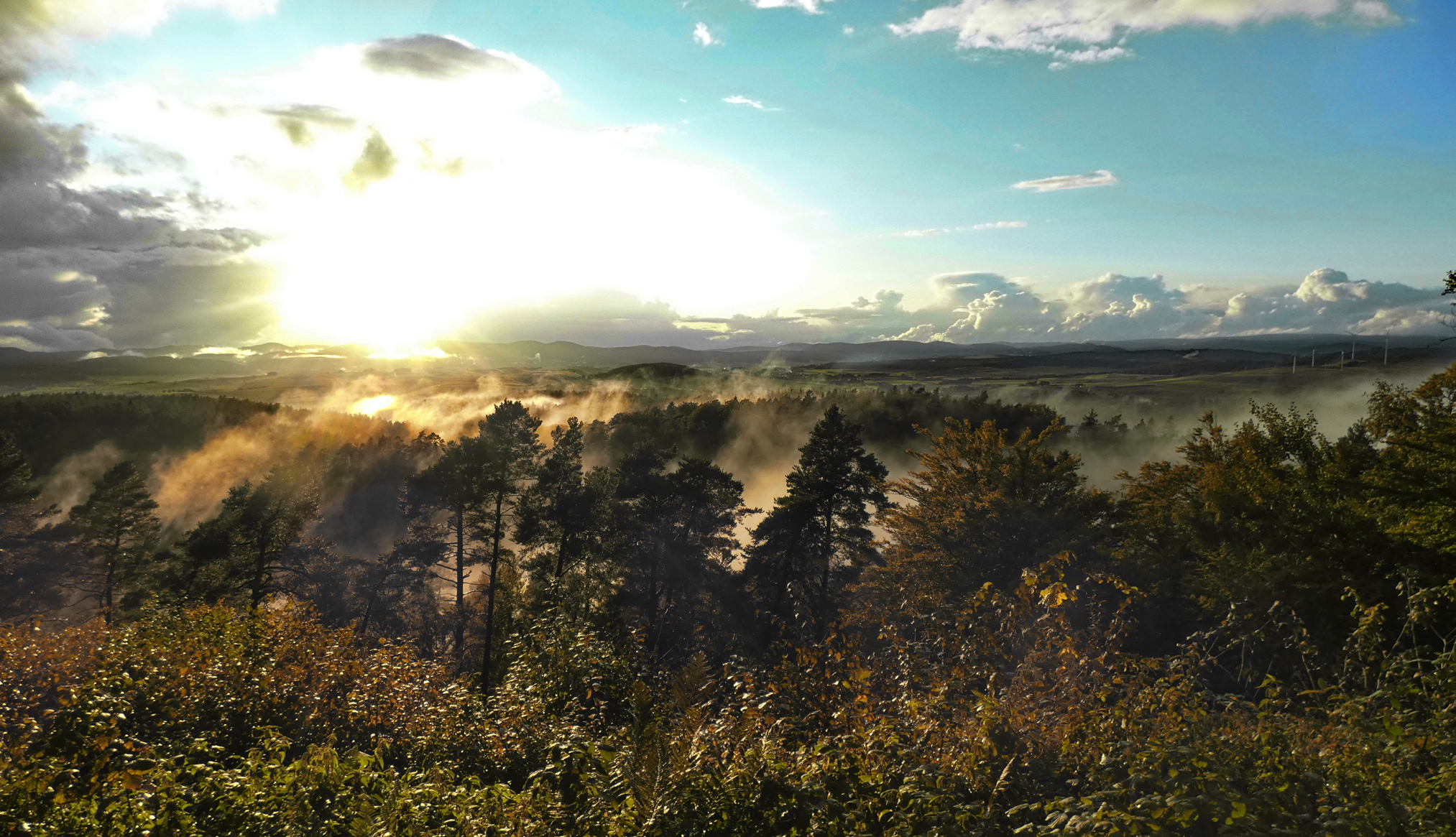Morgendämmerung