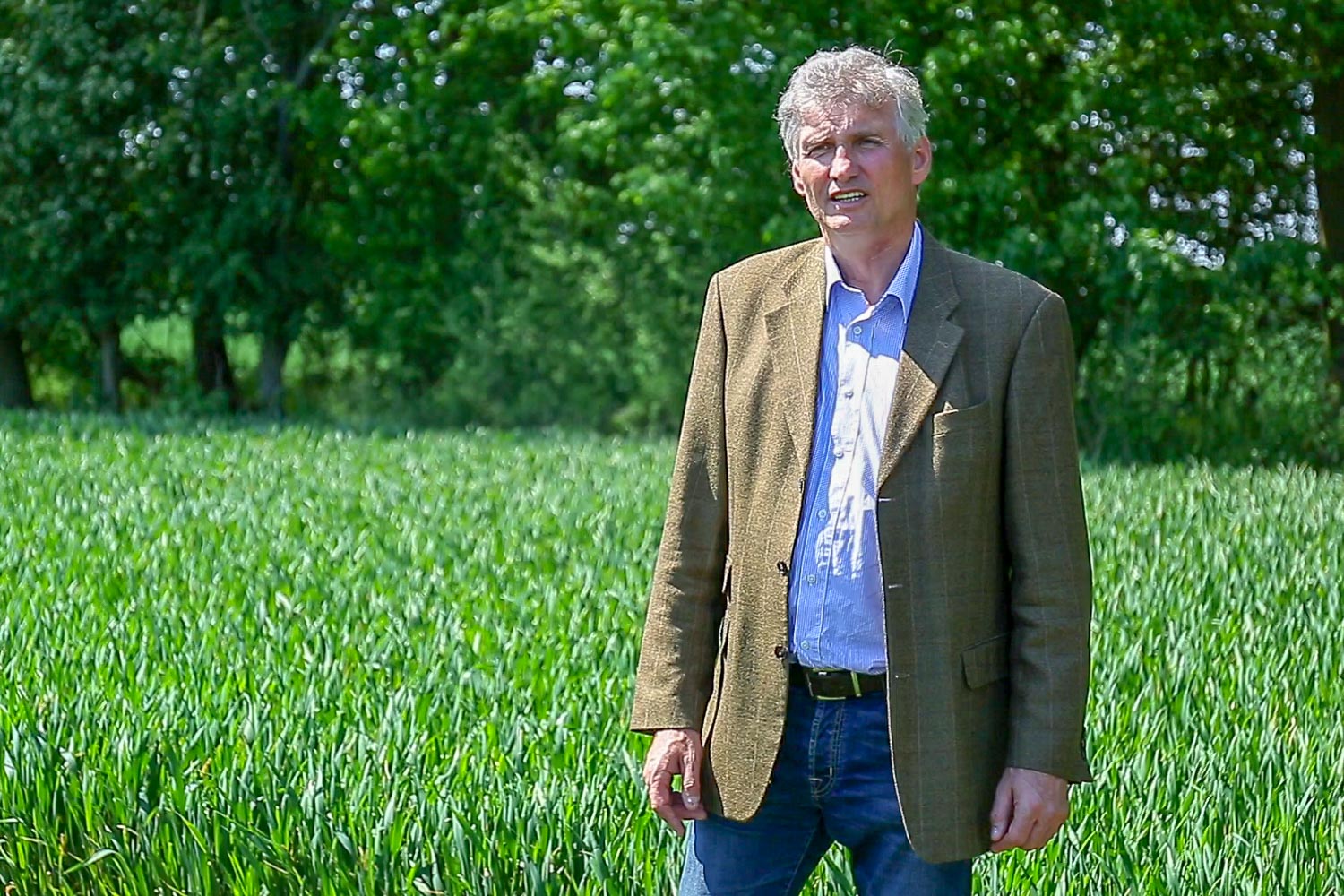 Rede Alfons Wolff
