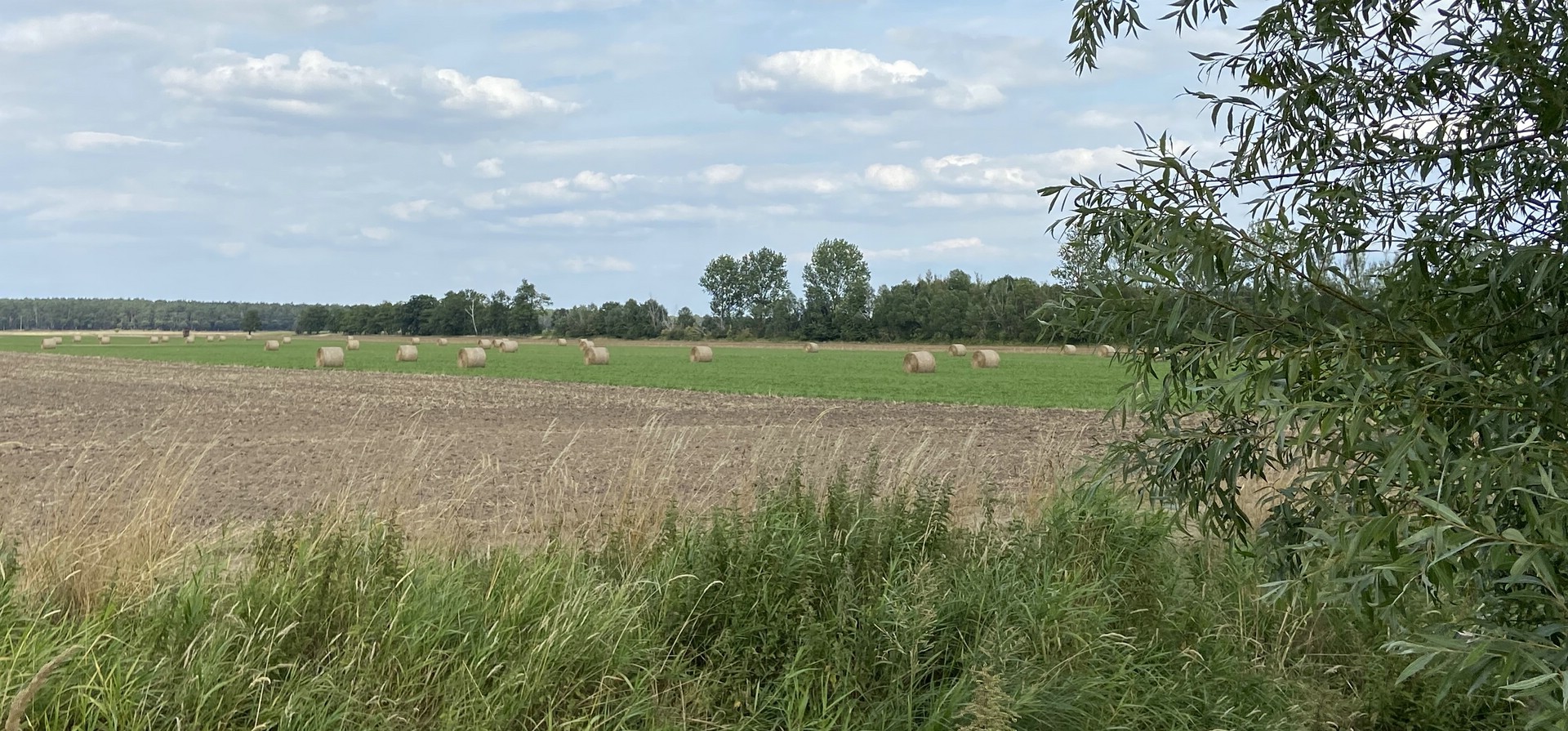 Hier nochmal kompakt für den Sozialpädagogen: Landwirtschaft ist die Produktion von Lebensmitteln durch Sonnenenergie, Bodenfruchtbarkeit und menschliche Arbeit